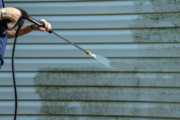Best Roof Washing  in Nevada City, CA